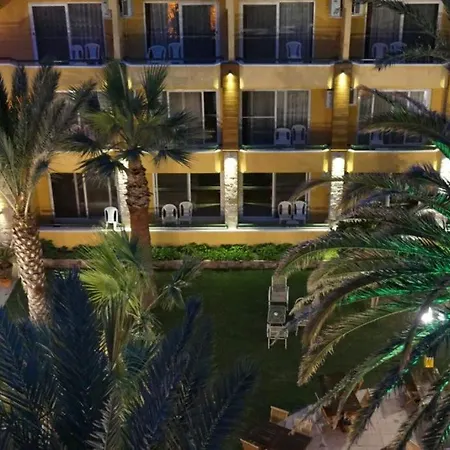 Varol * Ayvalı