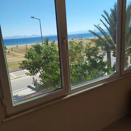 Varol * Ayvalı